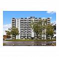 1 Bedroom Apartment For Rent - 2969 Fairlea Crescent