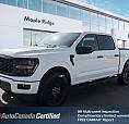 2024 Ford F-150 Stx | Backup Camera | Lane Departure | Blind