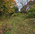 19 Carlisle Road Fredericton, New Brunswick