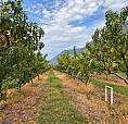 164 Ashnola Road Keremeos, British Columbia