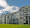 Pet-friendly One Bedroom One Bath With In-suite Laundry For Rent