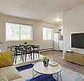 Spacious And Pet-friendly Apartments For Everyday Convenience | 