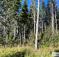 69 000$ - Terrain Résidentiel À Vendre À Gaspé