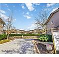47 22865 Telosky Avenue Maple Ridge, British Columbia