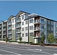 1 Bedroom + Den Apartment For Rent - 115 Mcmillan Street