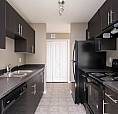 Wildwood Estates - 2 Bedroom Apartment For Rent