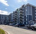 Pet-Friendly Two Bedroom One Bath With In-Suite Laundry For Rent