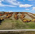 Parcel V, Hillside Estates - 1.13 Acres Longlaketon Rm No. 219, 