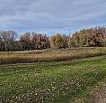 37059 Hwy 1-a Highway Portage La Prairie Rm, Manitoba