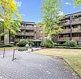 Modern Ground-floor 1-bedroom Suite With Private Patio In Guildf