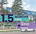 Inglewood Apartment For Rent | Mainstreet 124th Apartments