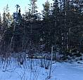 Great Cabin Lot