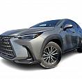 2025 Lexus Nx Nx 350 / Premium / Caméra / Navi / Toit Ouvrant Bi