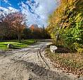 16 Gibson Road Perry (Emsdale), Ontario