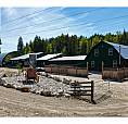 1519 Highway 6 Highway Cherryville, British Columbia