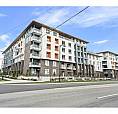 305 10828 139A Street Surrey, British Columbia