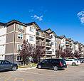 Pet-Friendly Two Bedroom One Bath With In-Suite Laundry For Rent