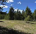 Lot 4 Pitney Road Valemount, British Columbia