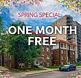 Bold Street Apartments - Bachelor Apartment For Rent