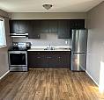 1bed, 1bath Apartment - Mayfield