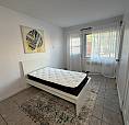 Papineau/bellechasse 1 1/2 Non Fumeur 800$