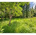 98 Dolly Varden Road Enderby, British Columbia