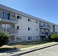 Senior Promo! 1 Bedroom 1 Bath - A/C Included Starting At $1295