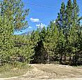 1170 14th Avenue Valemount, British Columbia
