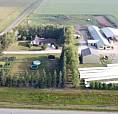 Dairy Farm For Sale