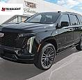 2026 Cadillac Escalade 4wd Platinum Sport