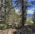 Lot 2 Lois Lane Winlaw, British Columbia