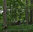 837 Aspdin Road Huntsville (Chaffey), Ontario