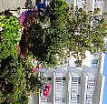1 Bedroom Apartment For Rent - 1180 Esquimalt Rd