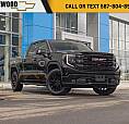 2024 Gmc Sierra 1500 Elevation Premium 3.0L Duramax X31 |
