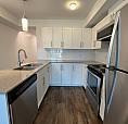 Spacious, Bright Studio With Murphey Bed