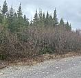 Cabin Lot #6