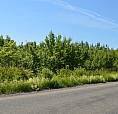 Lot 5 Middlesex Rd - 3.84 Acres - $29900