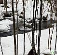 $126,600 - Residential Lot For Sale In St-hippolyte