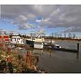 23240 Dyke Road Richmond, British Columbia