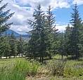 343 Cross Road Cranbrook, British Columbia