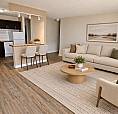 1 Bedroom 1 Bath