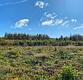 Beautiful Views Of The Northumberland Strait! - 3.19 Acres