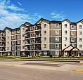 Pet-Friendly One Bedroom One Bath With In-Suite Laundry For Rent