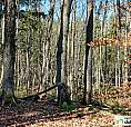 $197,500 - Residential Lot For Sale In Orford