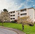 1 Bedroom Apartment For Rent - 909 Market St.
