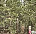37 500$ - Terrain Résidentiel À Vendre À St-Antonin