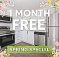 Guestville Apartments - Renovated 1 Bedroom Apartment For Rent