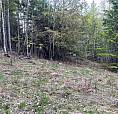 Lot 2 Balfour Avenue Kaslo, British Columbia