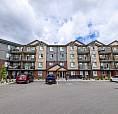 Pet-Friendly Two Bedroom One Bath With In-Suite Laundry For Rent