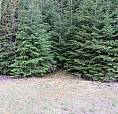 Lot B 3 Highway Salmo, British Columbia